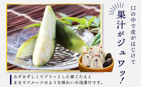 【先行予約】「特選最上級品」天然素材 水なす浅漬け 8個