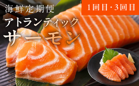 人気海鮮定期便 サーモン／真鯛 食べ比べ 全4回 毎月配送コース