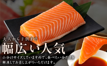 人気海鮮定期便 サーモン／真鯛 食べ比べ 全4回 毎月配送コース