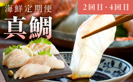 人気海鮮定期便 サーモン／真鯛 食べ比べ 全4回 毎月配送コース