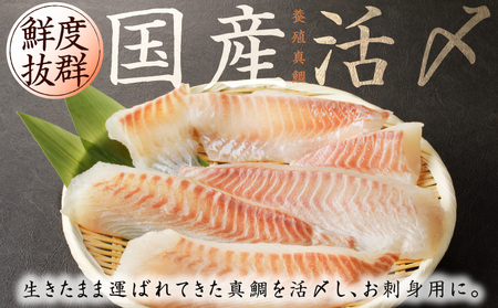 人気海鮮定期便 サーモン／真鯛 食べ比べ 全4回 毎月配送コース