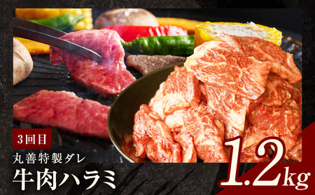 焼肉定期便 総量3.4kg(肩ロース/牛タン/牛ハラミ)全3回 丸善味わい加工【毎月配送コース】