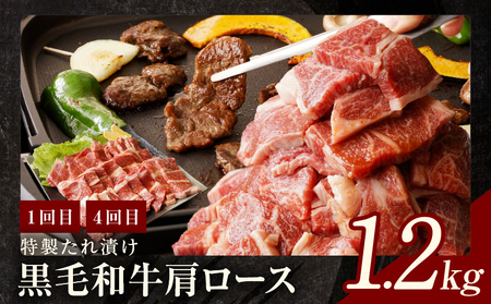 焼肉定期便 総量6.8kg(肩ロース/牛タン/牛ハラミ)全6回 丸善味わい加工【毎月配送コース】