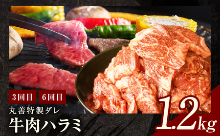 焼肉定期便 総量6.8kg(肩ロース/牛タン/牛ハラミ)全6回 丸善味わい加工【毎月配送コース】