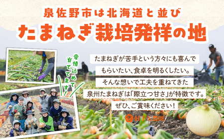 【先行予約】射手矢さんちの泉州たまねぎ 5kg