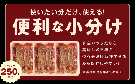 ねぎ塩 牛タン 食べ比べセット 合計 1kg（牛タン 500g／成型牛たん 500g）