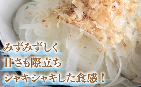 【先行予約】泉州たまねぎ 3.5kg