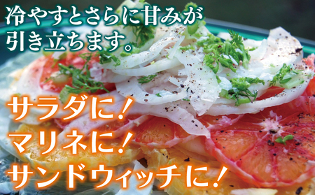 【先行予約】泉州たまねぎ 3.5kg