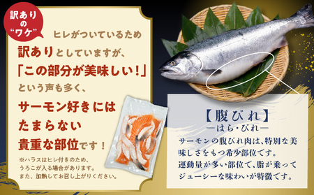 訳あり 計1.4kg！ アトランティックサーモン 200g×2パック＆訳あり 鮭ハラス 200g×5P 小分け 鮭 昆布塩加工 はしっこ サーモン 大トロ 腹ヒレ肉 北国からの贈り物