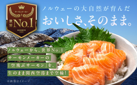 訳あり 計1.4kg！ アトランティックサーモン 200g×2パック＆訳あり 鮭ハラス 200g×5P 小分け 鮭 昆布塩加工 はしっこ サーモン 大トロ 腹ヒレ肉 北国からの贈り物