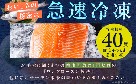 訳あり 計1.4kg！ アトランティックサーモン 200g×2パック＆訳あり 鮭ハラス 200g×5P 小分け 鮭 昆布塩加工 はしっこ サーモン 大トロ 腹ヒレ肉 北国からの贈り物