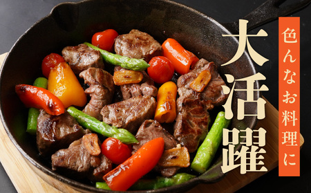 やわらか牛ヒレ肉 切り落とし 2kg 【氷温熟成×特製ダレ 小分け 500g×4P 訳あり サイズ不揃い サイコロ ステーキ カット済み】