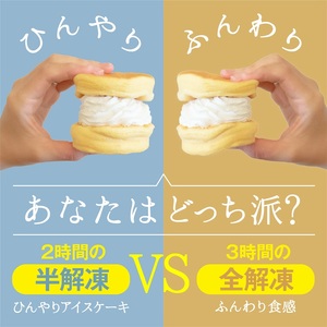 【スピード発送】パンケーキカフェcafeblowの国産米粉パンケーキ6個入(グルテンフリー・プレーン)