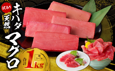 【数量限定】天然キハダマグロ 合計 1kg 柵 5-7本【冷凍まぐろ 訳あり サイズ不揃い海鮮丼 人気 オススメ 小分け 冷凍】