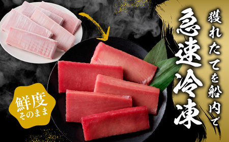 【数量限定】天然キハダマグロ 合計 1kg 柵 5-7本【冷凍まぐろ 訳あり サイズ不揃い海鮮丼 人気 オススメ 小分け 冷凍】