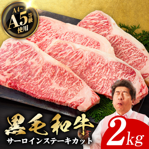 A5/A4ランク 黒毛和牛 サーロインステーキ カット 合計2kg（250g×8P） 極味付け肉 11,550円