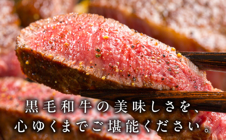 A5/A4ランク 黒毛和牛 リブロースステーキカット 合計4kg（250g×16P） 極味付け肉
