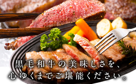 A5/A4ランク 黒毛和牛 サーロイン/リブロース ステーキカット 合計6kg（各250g×12P） 極味付け肉