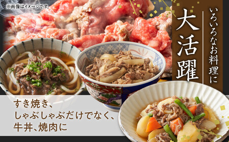 【ふるなび限定】A4ランク 黒毛和牛 すきしゃぶ用 600g【年末限定 ふるなび限定価格 氷温熟成×極味付け すき焼き しゃぶしゃぶ FN-Limited】