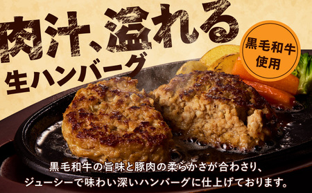 【冷凍のまま焼くだけ！】特大ハンバーグ 200g×20個