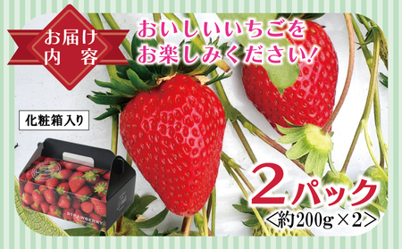 【特別規格】朝摘み完熟いちご 2パック