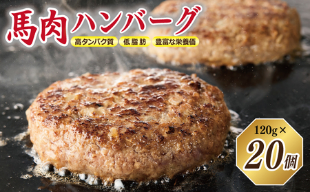 桜文 馬肉ハンバーグ 総量2.4kg（120g×20個） 個包装