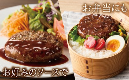 桜文 馬肉ハンバーグ 総量2.4kg（120g×20個） 個包装