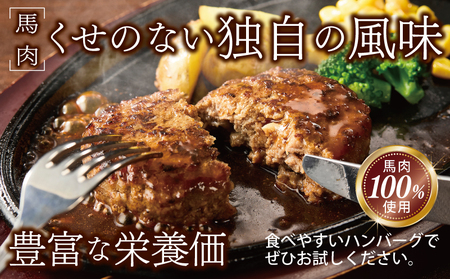 【特別規格】桜文 馬肉ハンバーグ 総量720g（120g×6個） 個包装 お試し