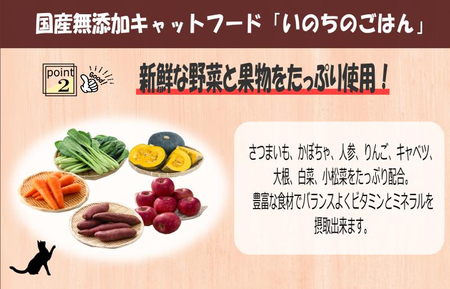 国産無添加 キャットフード 1kg「いのちのごはん」タンパク質 50%配合タイプ
