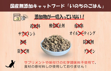 国産無添加 キャットフード 1kg「いのちのごはん」タンパク質 50%配合タイプ