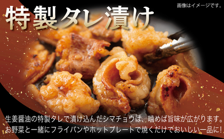 牛シマチョウ 焼肉用 塩麹・タレ漬けセット 合計1.5kg