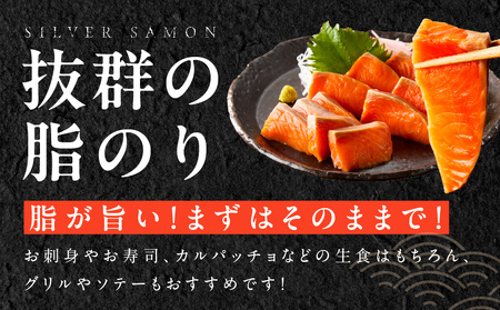 【訳あり】生食用 シルバーサーモン 2kg ポーション【小分け 4-8柵 サイズ不揃い 銀鮭 刺身用 お刺身 魚介 海鮮】