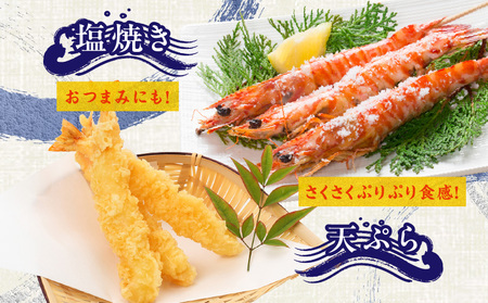 【TVで紹介】泉州車えび 300g