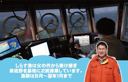 【スピード発送】ちりめん山椒しらす 600g