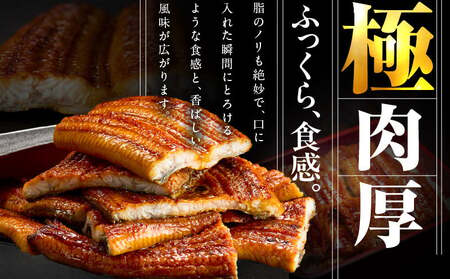 うなぎ 蒲焼き 暴れ盛り 合計 600g