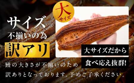 うなぎ 蒲焼き 暴れ盛り 合計 600g