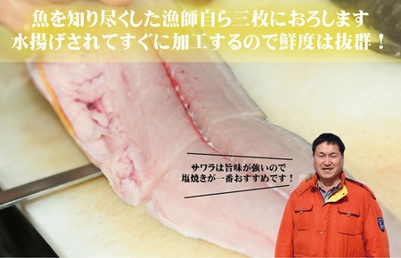さわら 片身 1kg