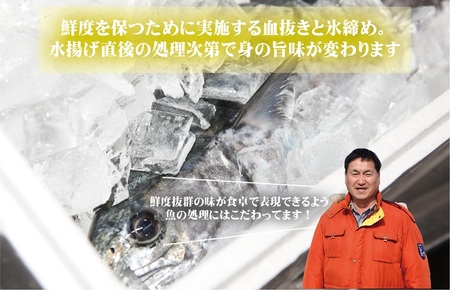 さわら 片身 1kg