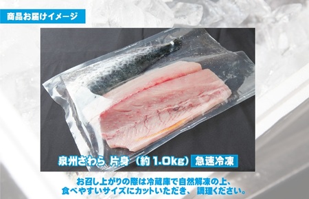 さわら 片身 1kg