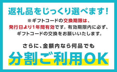 【有効期限なし】 あとから選べる 泉佐野ふるさとギフト(寄附1,000円コース)
