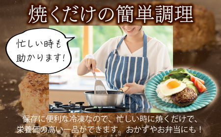 【定期便】 桜文 馬肉ハンバーグ 120ｇ×10個 全3回 【毎月配送コース】