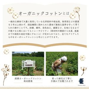 ナナイロ バスタオル 4枚セット（ムラサキイロ）