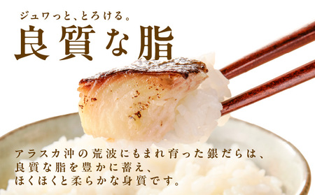 銀鱈 西京漬け 120g×9切れ