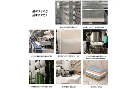 フェイスタオル6枚 サニーボーダー（シトラスブルー）