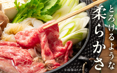 【A4ランク】黒毛和牛 赤身スライス 800g 化粧箱入り 氷温熟成×極味付け