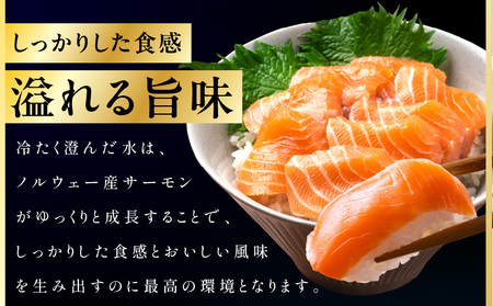 ノルウェー産 プレミアム アトランティックサーモン 1kg 