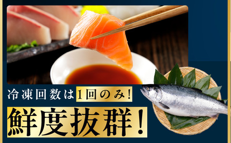 ノルウェー産 プレミアム アトランティックサーモン 1kg 