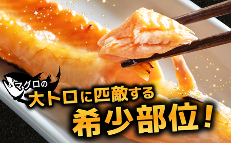 【訳あり】アトランティックサーモン ハラス 2kg 