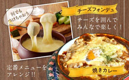 JUCOVIA ミックスチーズ 定期便 1kg×全6回 ムラカワチーズ【毎月配送コース】