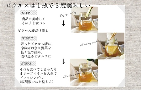 【訳あり】泉州水なすピクルス等おまかせ 6本セット